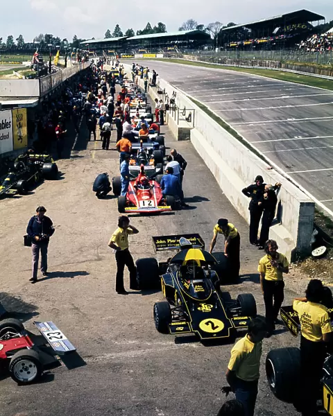 Formula 1 1974: British GP