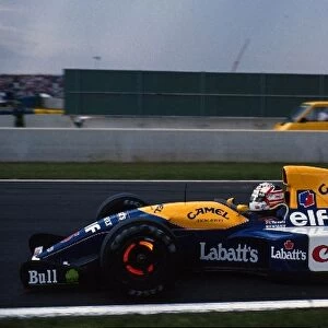 Formula One World Championship: Nigel Mansell Williams FW14B, 1st place