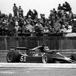 Non-Championship Formula One: Pole sitter Ronnie Peterson Lotus 78 retired on the third lap with handling problems in the dire wet conditions