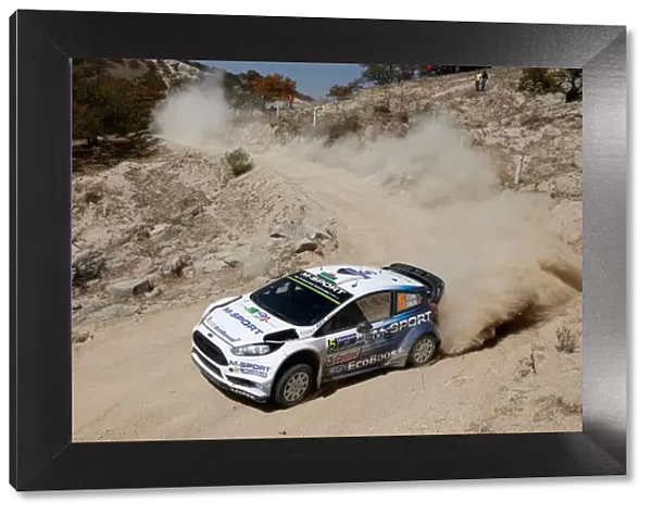 BAU1231. 2015 World Rally Championship. Rally Mexico