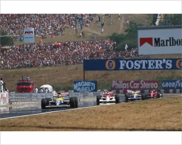 Formula One World Championship: Race winner Thierry Boutsen, Williams FW13B