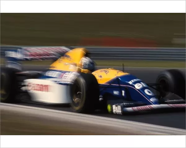 Formula One World Championship: Damon Hill Williams FW 15C takes his first Grand Prix victory