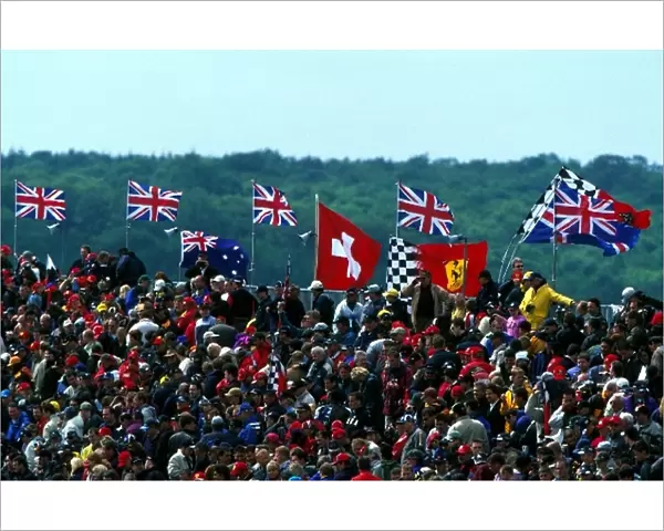Formula One World Championship: British Formula One fans