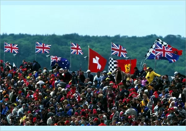 Formula One World Championship: British Formula One fans