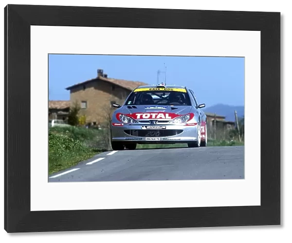World Rally Championshio: Didier Auriol Peugeot 206 WRC - Winner