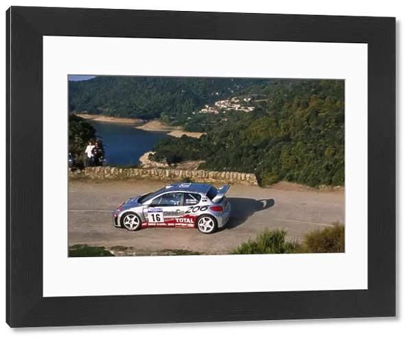 World Rally Championship: Gilles Panizzi Peugeot 206 WRC finished in 2nd place