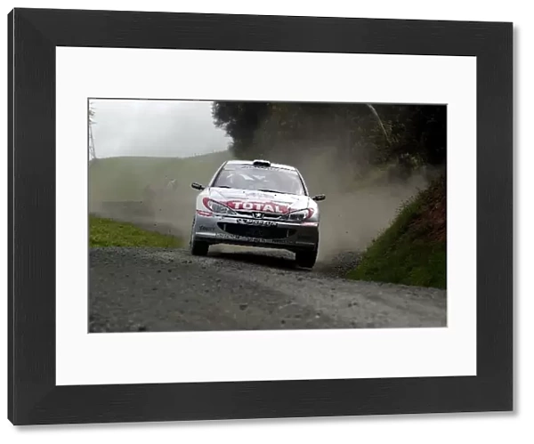 World Rally Championship: Gilles Panizzi  /  Herve Panizzi Peugeot 206 WRC