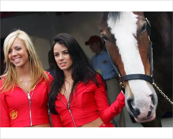 Formula One World Championship: A horse in the paddock