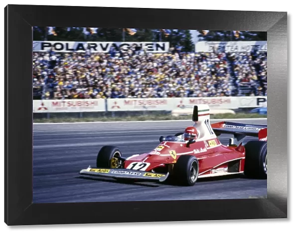 Formula 1 1975: Swedish GP