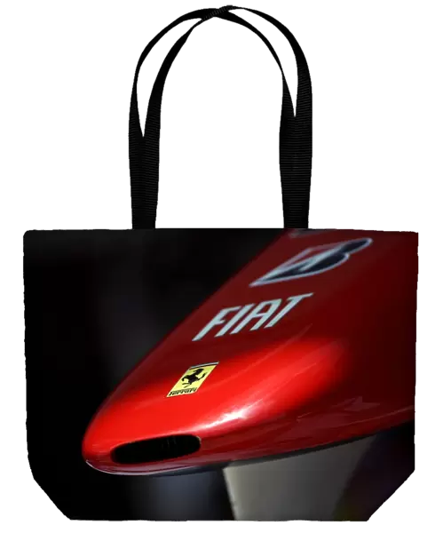 Formula One World Championship: Ferrari F10 nose cone