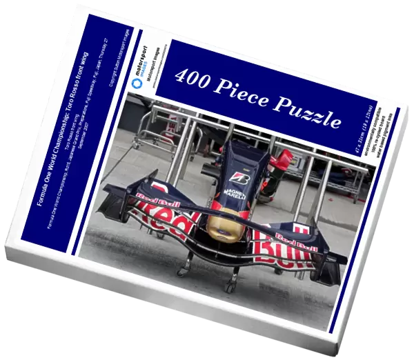 Formula One World Championship: Toro Rosso front wing