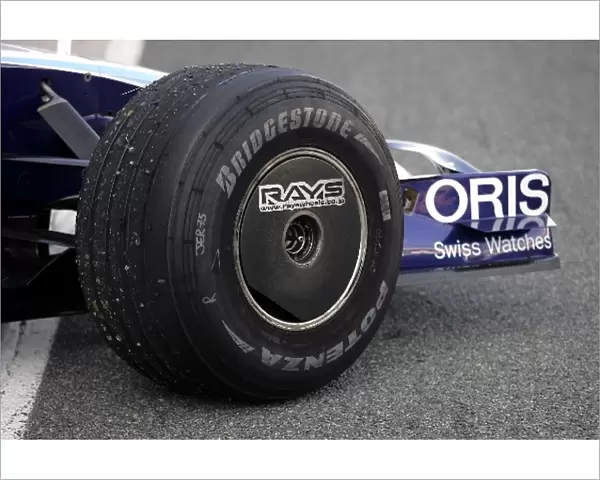 Formula One Testing: Wheel fairings on the wheels of Nico Rosberg Williams FW29