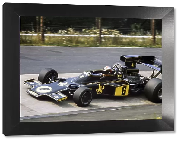Formula 1 1975: German GP