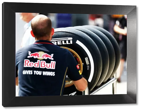Portrait Tyres F1 Formula 1 Formula One Gp