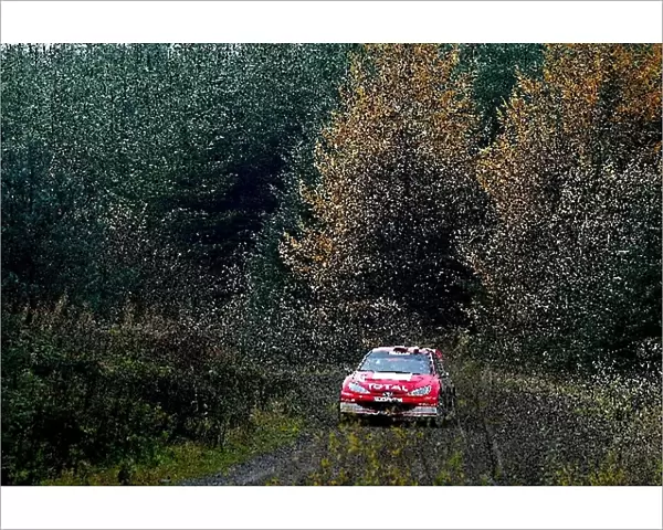 World Rally Championship: Freddy Loix Peugeot 206 WRC
