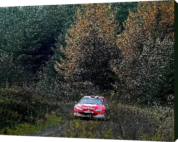 World Rally Championship: Freddy Loix Peugeot 206 WRC