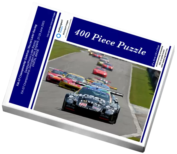 FIA GT Championship: Deletraz  /  Piccini Lister Racing