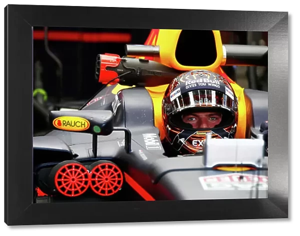 F1 Formula 1 Formula One Portrait Ts-live