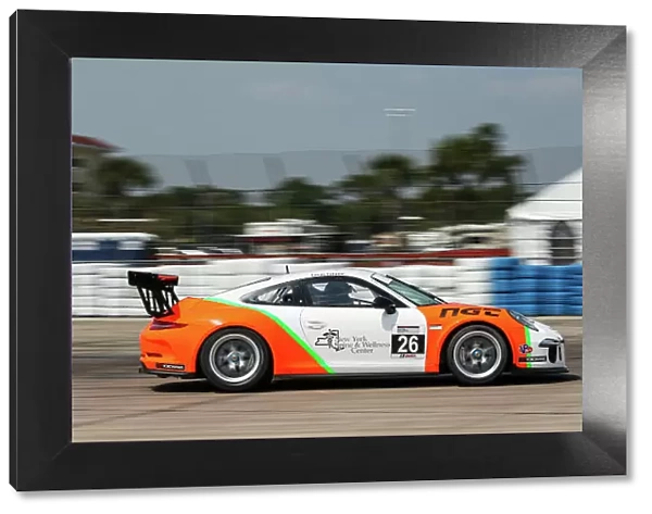 2015 Porsche GT3 Cup USA Sebring