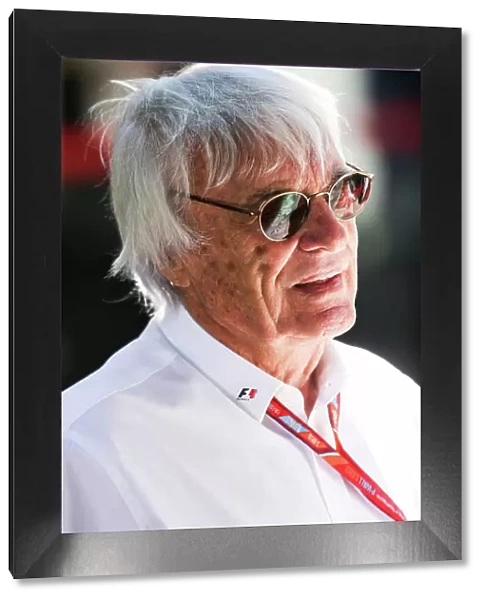 F1 Formula 1 Formula One Gp Priority Portrait