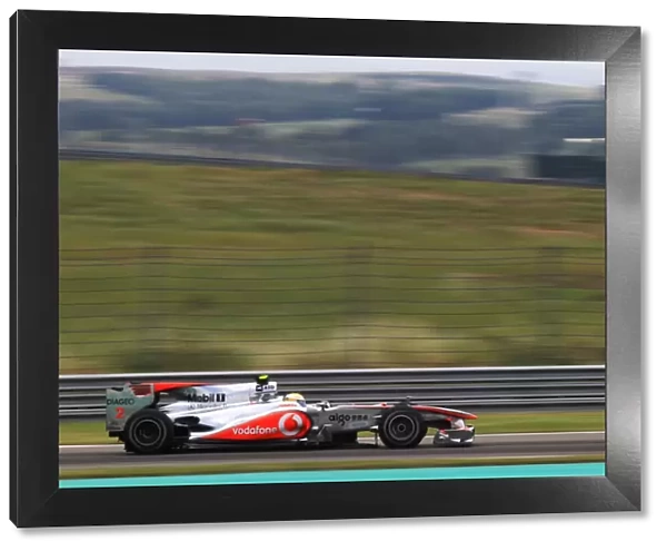 Formula One World Championship: Lewis Hamilton McLaren MP4  /  25