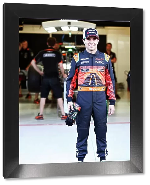 F1 Formula 1 Formula One Gp Mex Portrait
