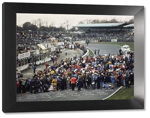 Formula 1 1975: Race of Champions