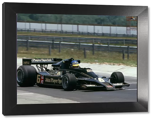 1978 Brazilian Grand Prix