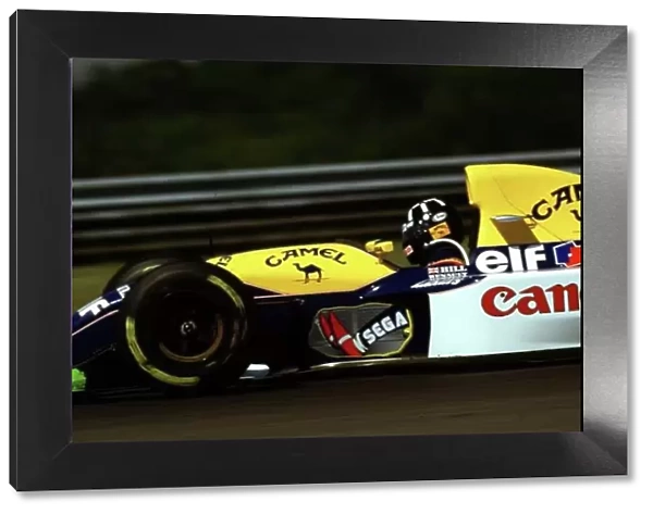 Damon Hill, Williams Renault, Winner Hungarian Grand Prix, Hungaroring, 1993 World LAT Photographic Tel: +44(0) 181 251 3000 Fax: +44(0) 181 251 3001