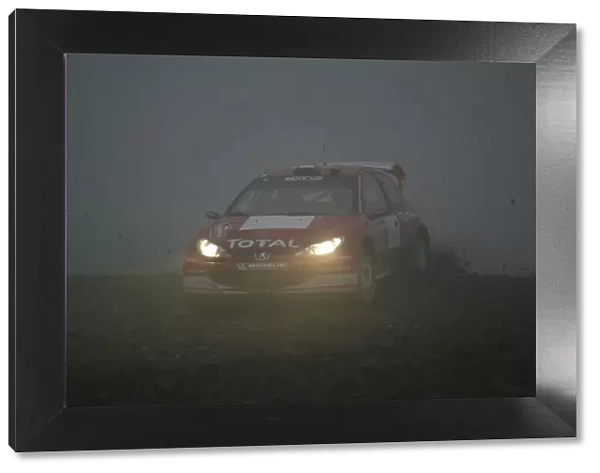 2003 FIA World Rally Champs. Round fourteen Wales Rally GB 6th-9th November 2003. Freddy Loix, Peugeot, action
