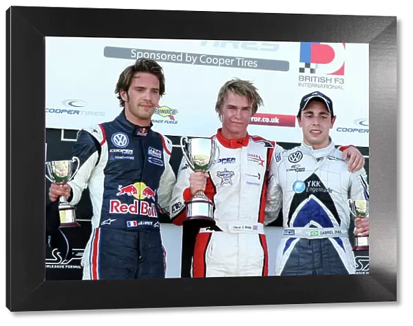 2010 British Formula Three International Series