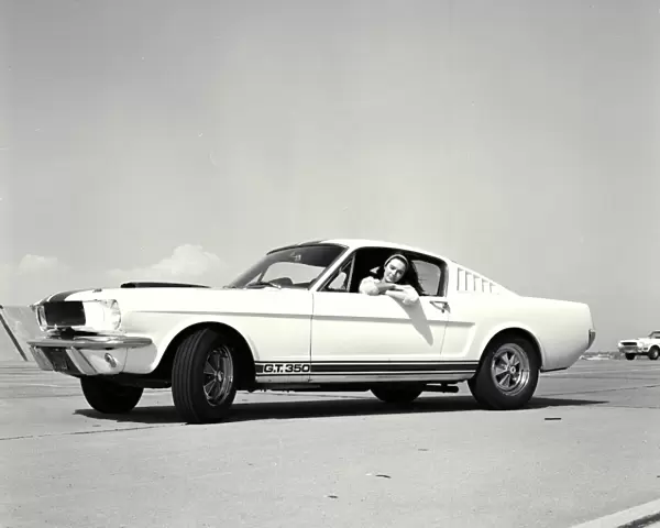 Shelby Mustang GT350: 1st Shelby being built, Los Angeles, CA, 1965