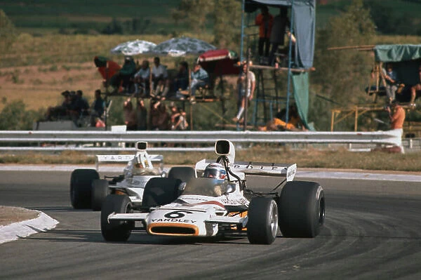 1973 South African Grand Prix