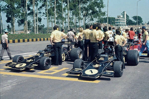 1974 Brazilian Grand Prix