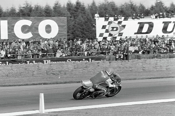 1974 International GP