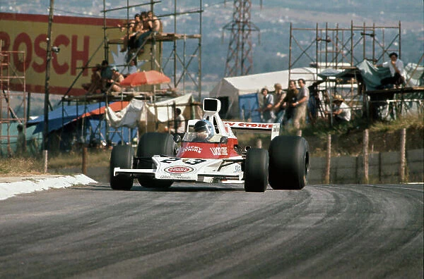 1974 South African Grand Prix