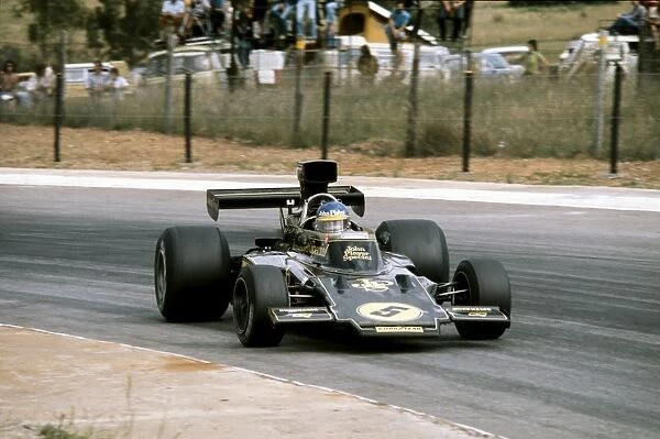 1975 South African Grand Prix - Ronnie Peterson: Ronnie Peterson, 10th position, action
