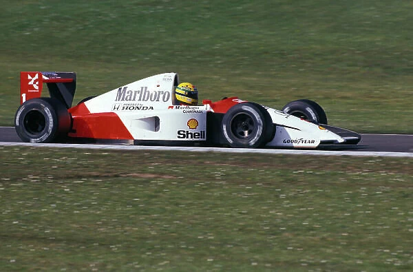1991 San Marino GP