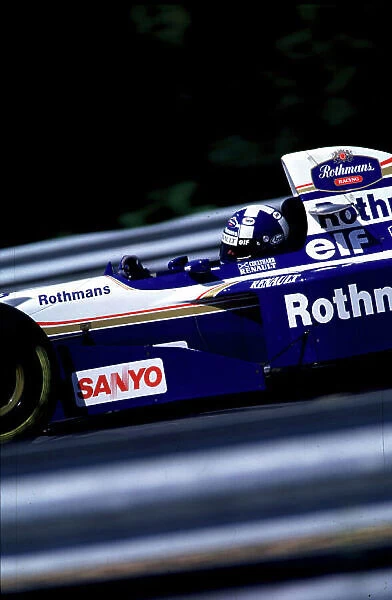 1995 HUNGARIAN GP. David Coulthard, Williams Renault, finishes 2nd behind team mate Damon Hill at the Hungaroring. Photo: LAT