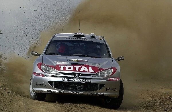 2002 Cyprus Rally: Richard Burns Peugeot 206 WRC in action on Stage 1