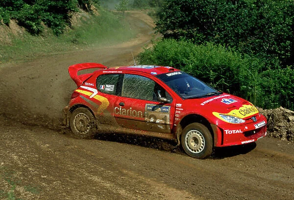 2003 FIA World Rally Champs Acropolis Rally. Greece. 4th - 8th June 2003 Gilles Panizzi and Herve Panizzi, Peugeot 206 - action World Copyright: McKlein / LAT Photographic ref: 35mm Image 03Arcop19