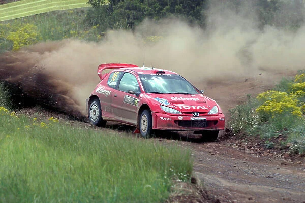 2004 FIA World Rally Champs. Round six, Acropolis Rally. 3rd-6th June 2004. Daniel Carlsson, Peugeot, action. World Copyright: McKlein / LAT