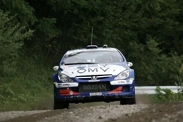 2006 FIA World Rally Championship