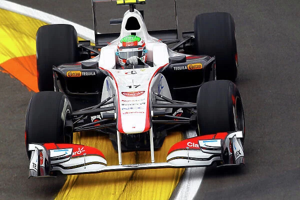 2011 European Grand Prix - Friday