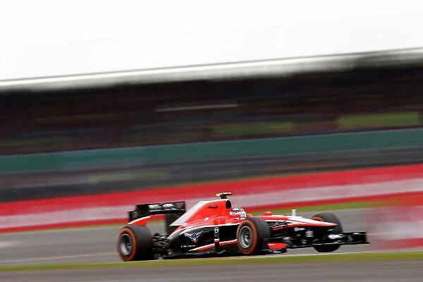2013 British Grand Prix - Friday