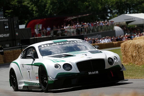 2015 Goodwood Festival of Speed Goodwood Estate, West Sussex, England. 25th - 28th June 2015. xxx World Copyright: Alastair Staley / LAT Photographic ref: Digital Image_R6T9797
