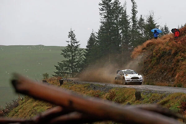 2015 World Rally Championship, Round 13, Rally of Wales GB, 12th - 15th November, 2015 Ott Tanak, Ford, action Worldwide Copyright: McKlein / LAT