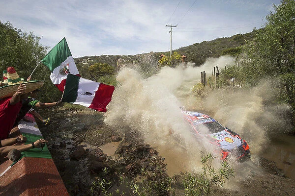 2020 Rally Mexico