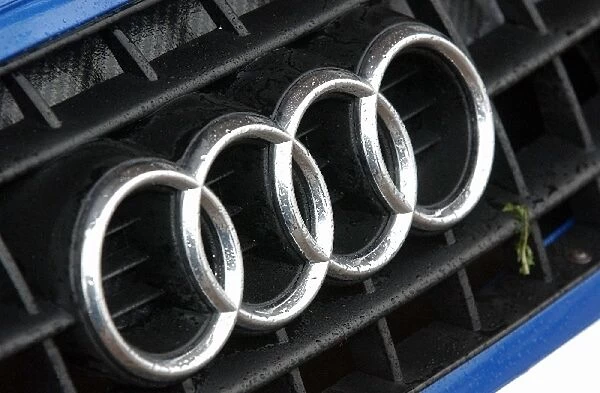The Audi badge on the nose of one of the Abt-Audi TT-R s