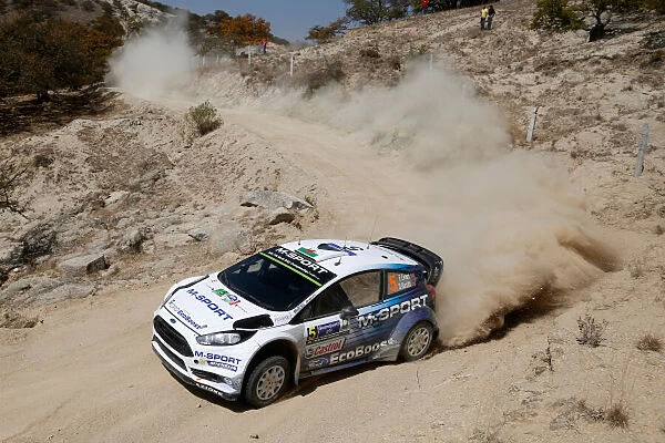 BAU1231. 2015 World Rally Championship. Rally Mexico
